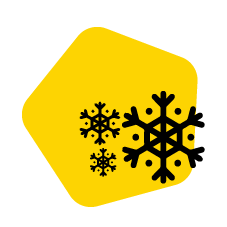 company_logo